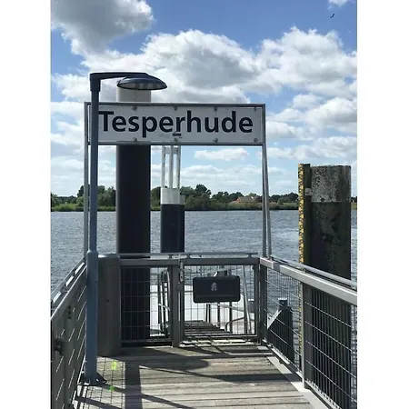 At The Gates Of Hamburg